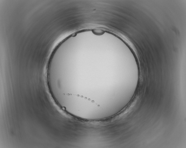 X0000114101053200910051226