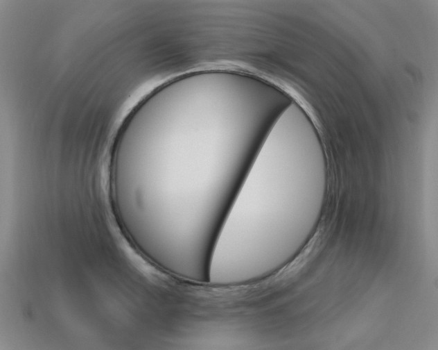 X0000114101054200910051226