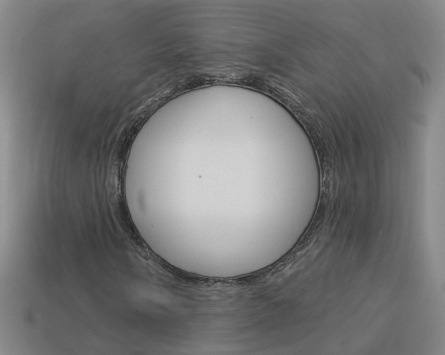 X0000114101058200910051226