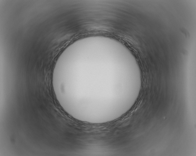 X0000114101061200910051226