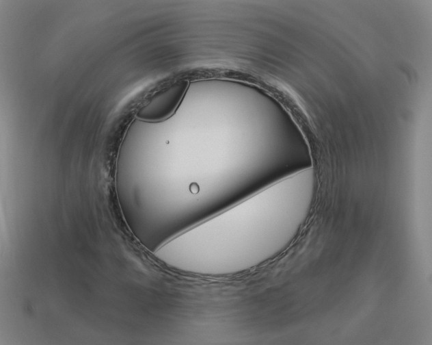 X0000114101064200910051226