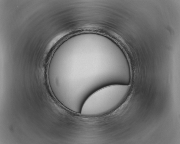 X0000114101066200910051225