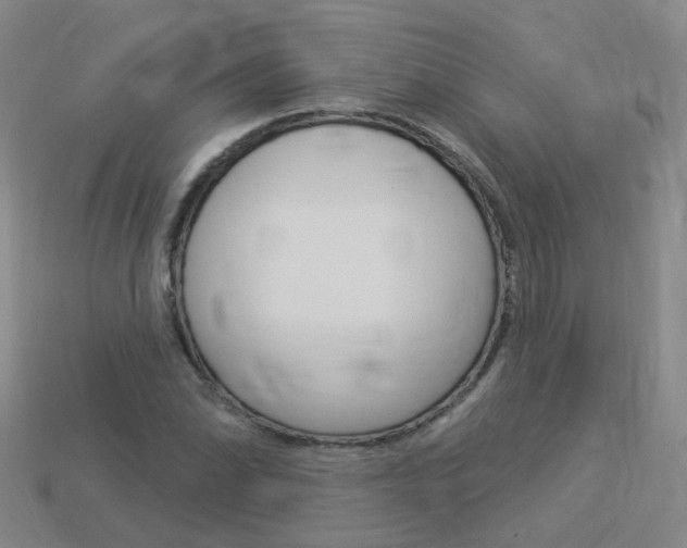 X0000114101070200910051225