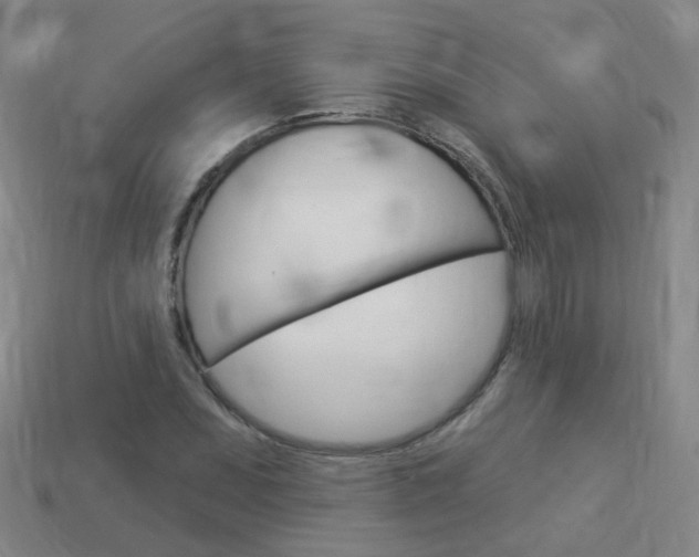X0000114101071200910051225