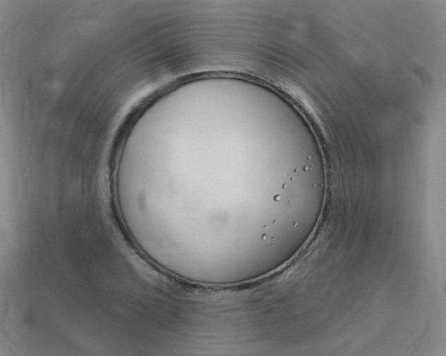X0000114101072200910051225