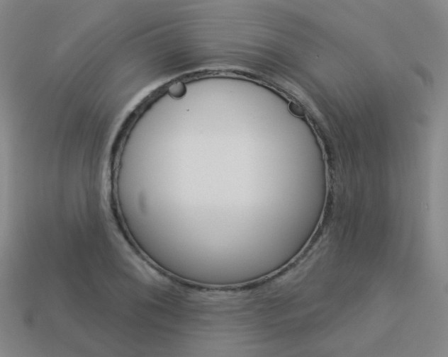 X0000114101076200910051225