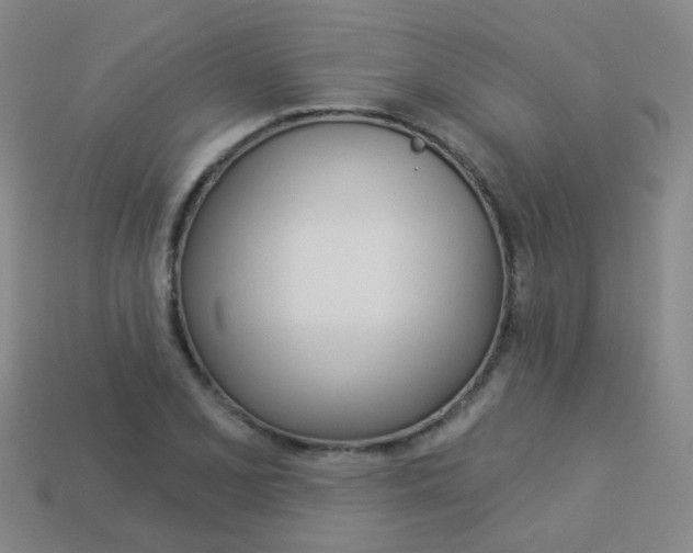X0000114101077200910051225