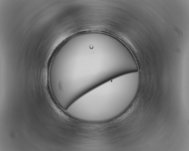 X0000114101079200910051225