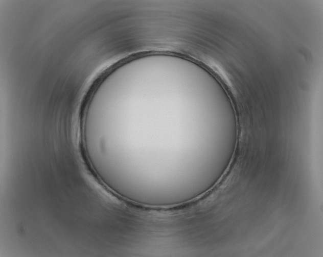 X0000114101080200910051225
