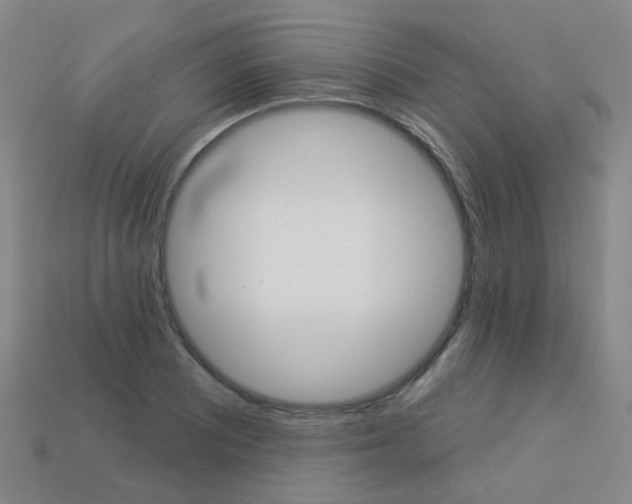 X0000114101081200910051225
