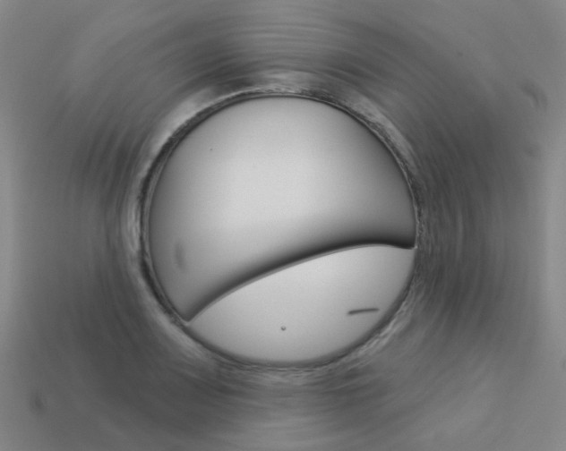 X0000114101083200910051225