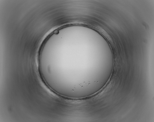X0000114101084200910051225
