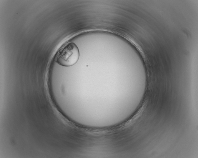 X0000114101085200910051225