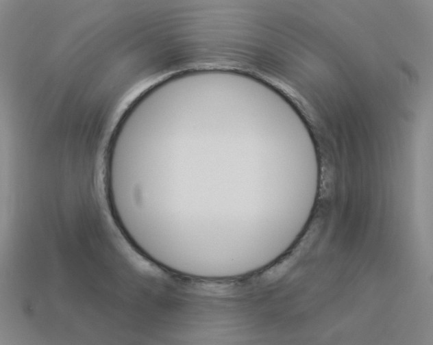 X0000114101086200910051225