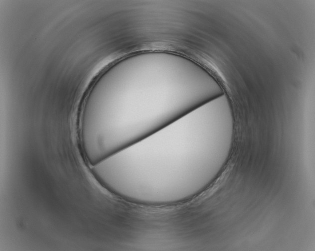 X0000114101087200910051225