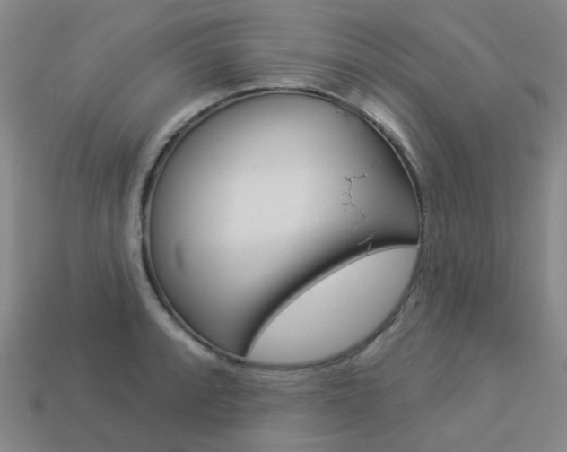 X0000114101088200910051225