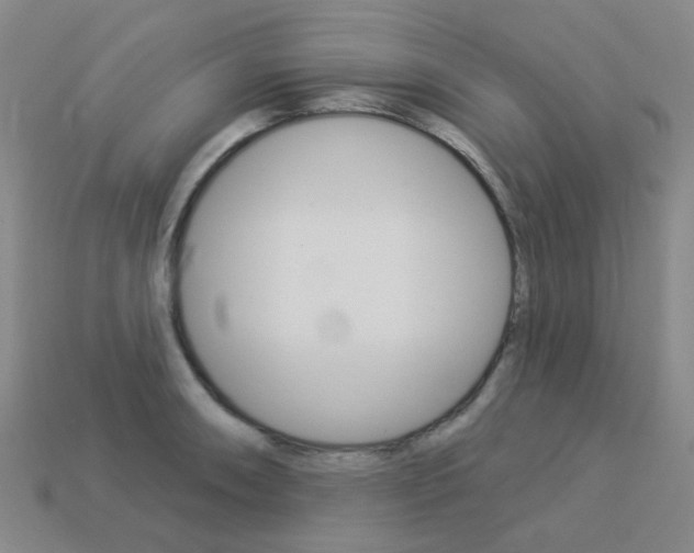 X0000114101090200910051225