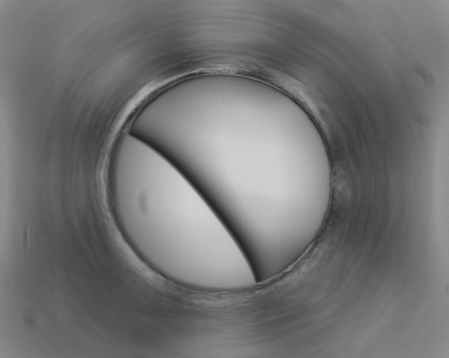 X0000114101091200910051225
