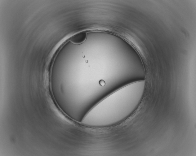 X0000114101092200910051225