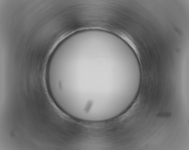 X0000114101093200910051225