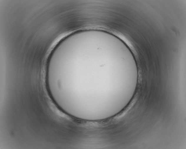 X0000114101094200910051225