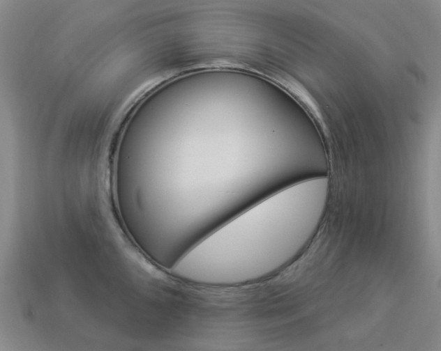 X0000114101096200910051225