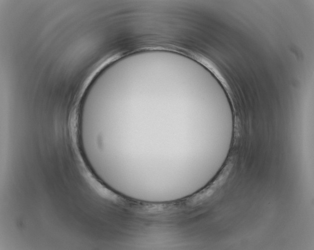 X0000114101098200910051225