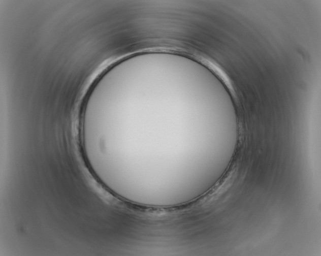X0000114101099200910051225