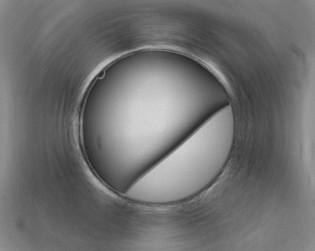 X0000114101100200910051225