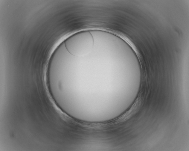 X0000114101101200910051225
