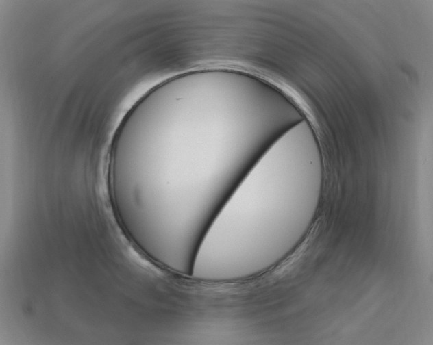 X0000114101102200910051225