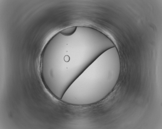 X0000114101103200910051225