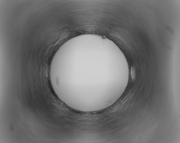 X0000114101107200910051224