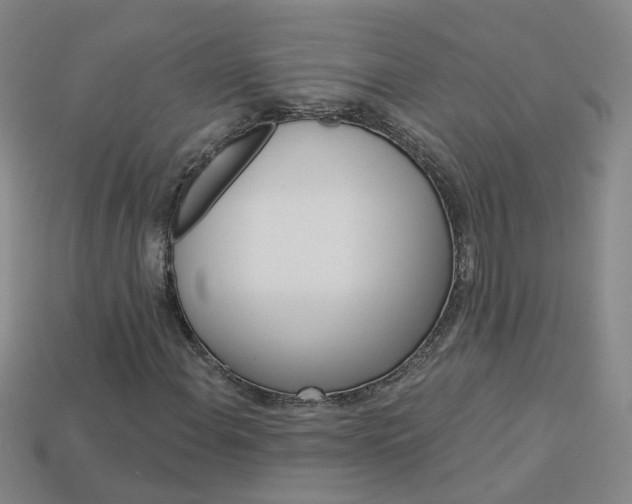 X0000114101108200910051224