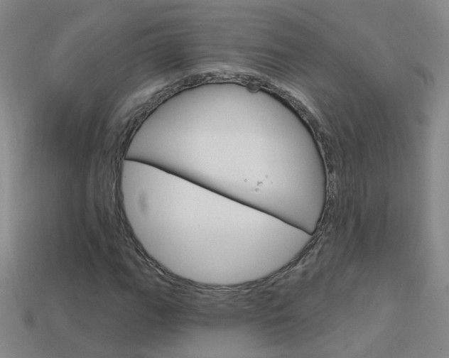 X0000114101111200910051224