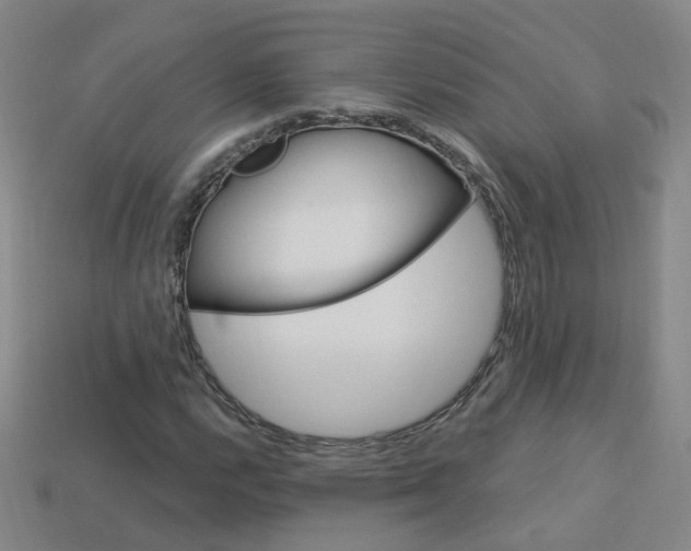 X0000114101112200910051224