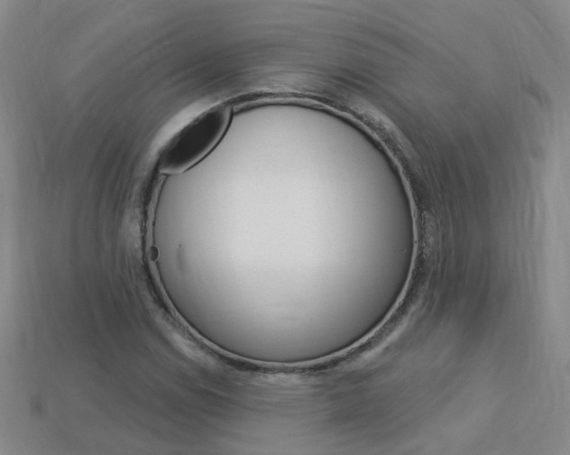 X0000114101114200910051224