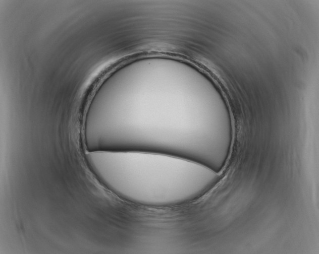 X0000114101115200910051225