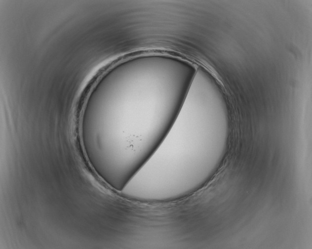 X0000114101116200910051225