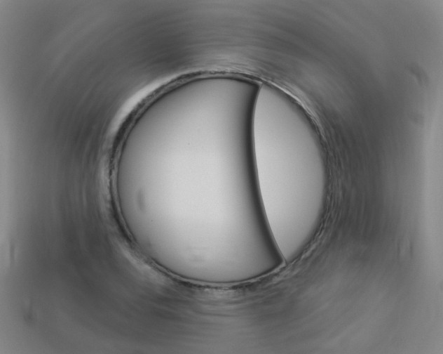 X0000114101120200910051225
