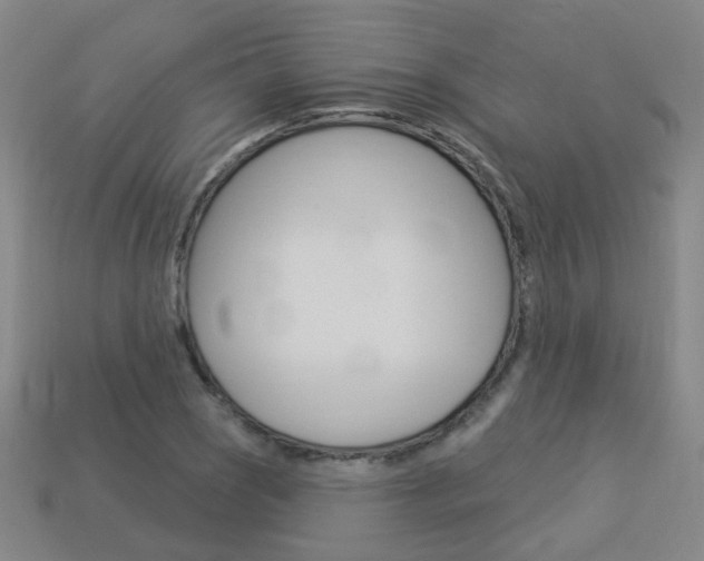 X0000114101121200910051225