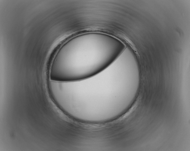 X0000114101122200910051225