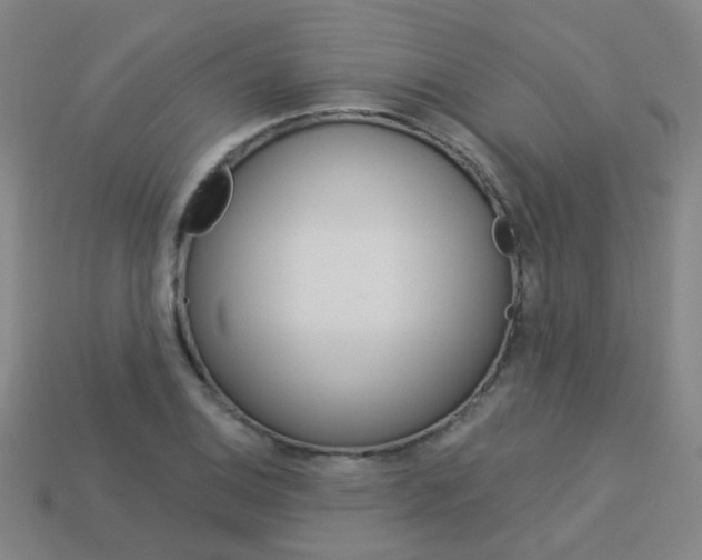 X0000114101124200910051225
