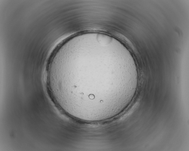 X0000114101125200910051225