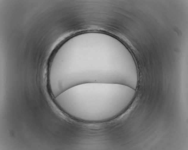 X0000114101126200910051225