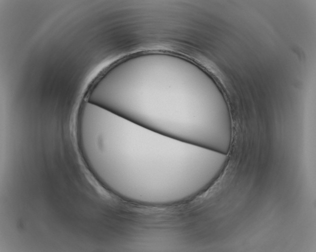 X0000114101127200910051225
