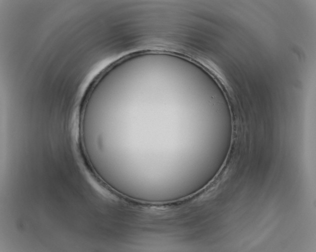 X0000114101128200910051225