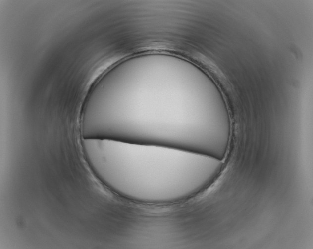 X0000114101129200910051225