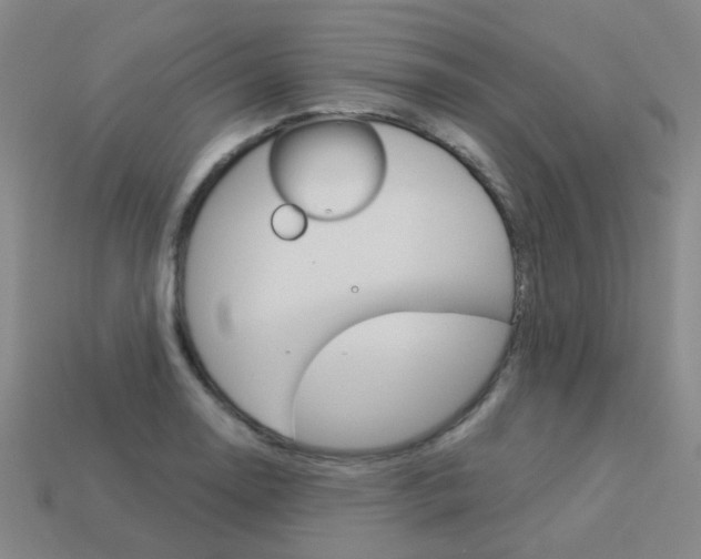 X0000114101130200910051225