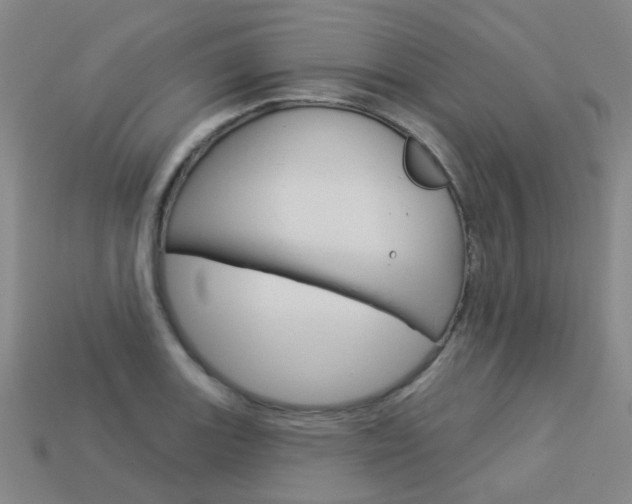 X0000114101131200910051225